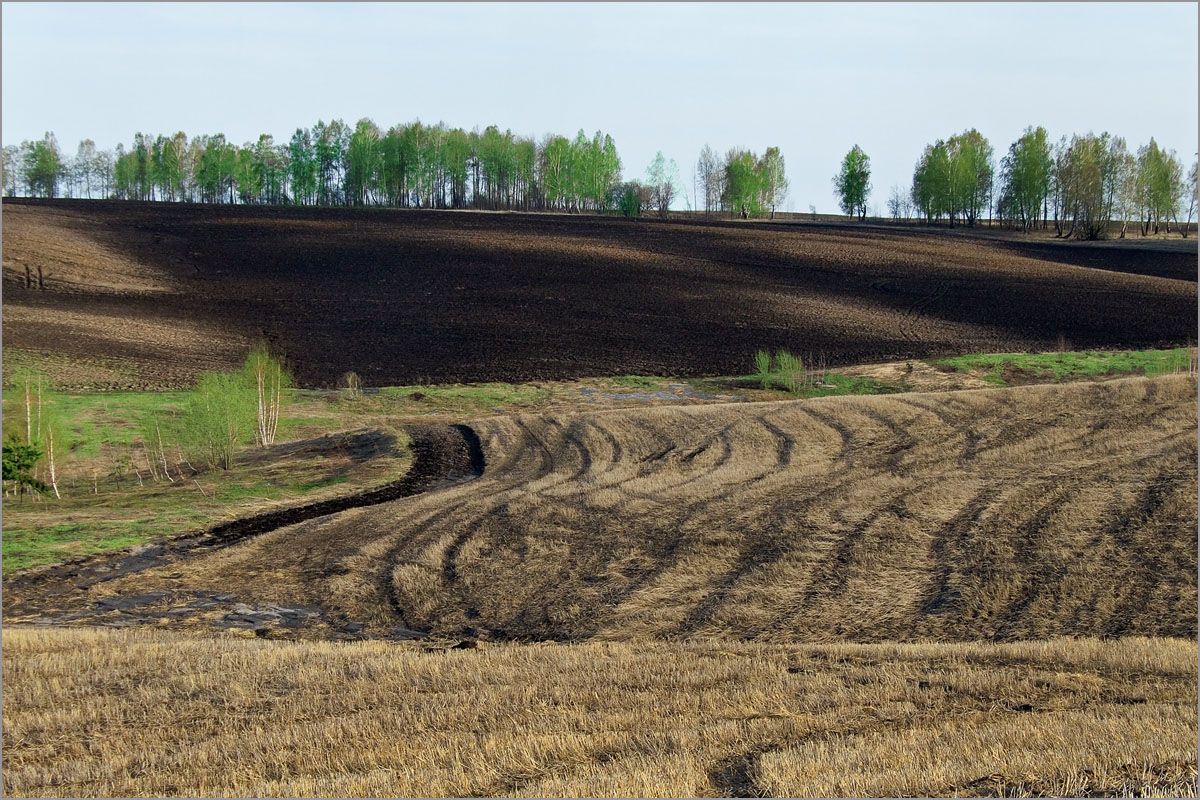 �������� �� �����-8 ����� dedo ������. �� PhotoGeek.ru #������ ��� �������