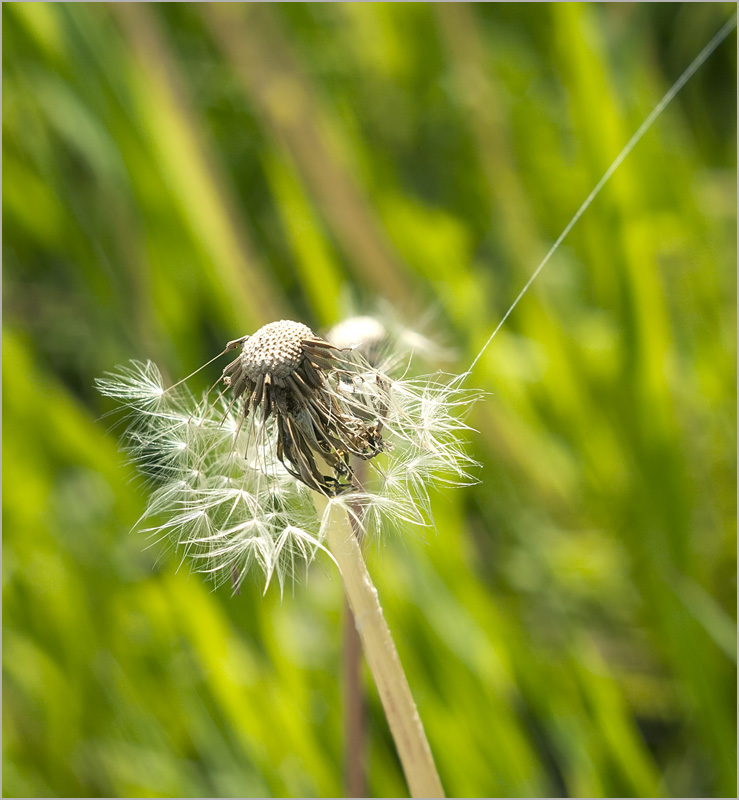 �������� �� �����-9 ����� dedo ������. �� PhotoGeek.ru #������ ��� ������� #���������