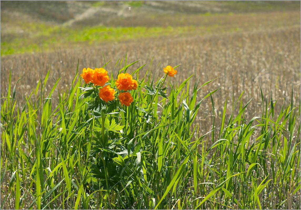 �������� �� �����-10 ����� dedo ������. �� PhotoGeek.ru #������ ��� ������� #���������