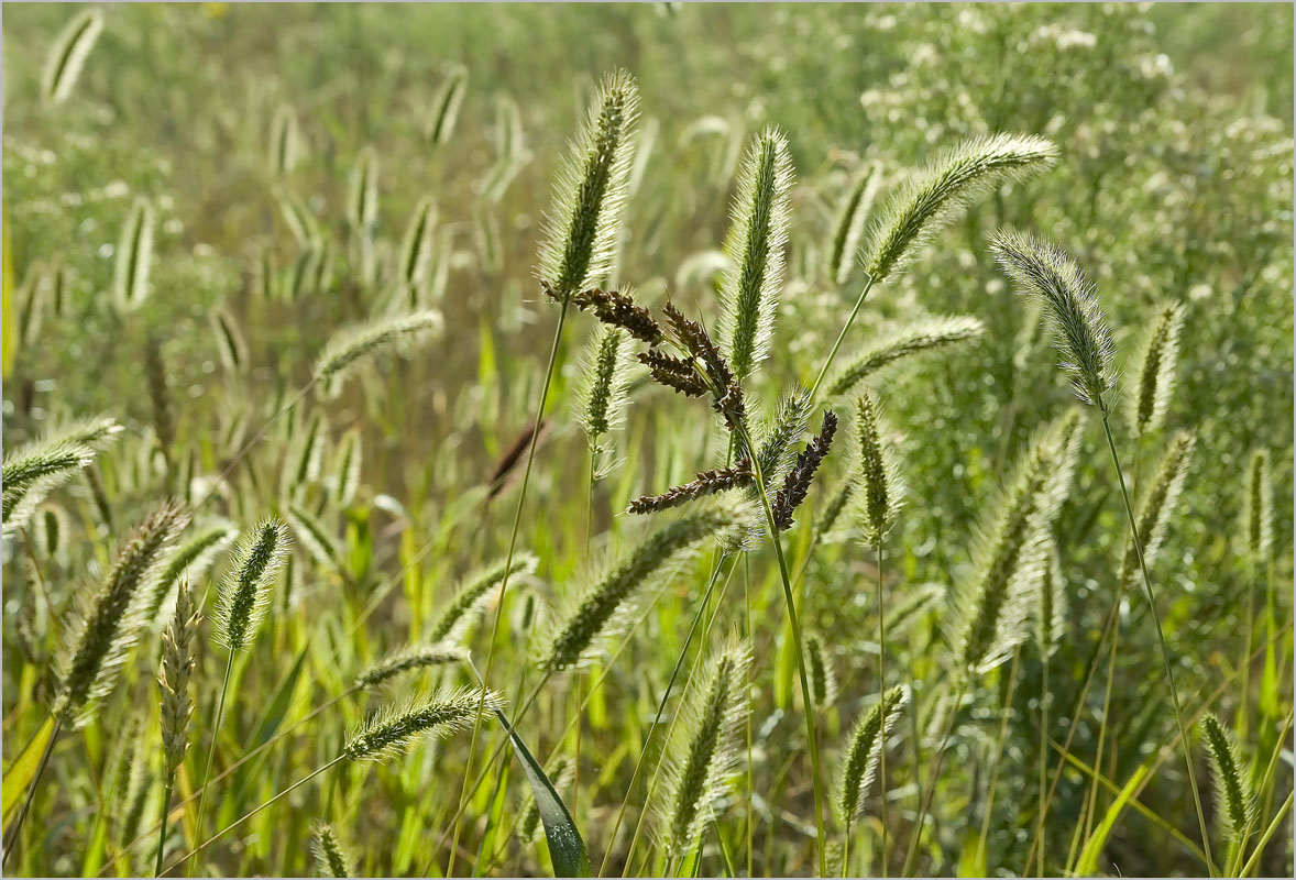 �������� �� �����-1 ����� dedo ������. �� PhotoGeek.ru #������ ��� ������� #���������