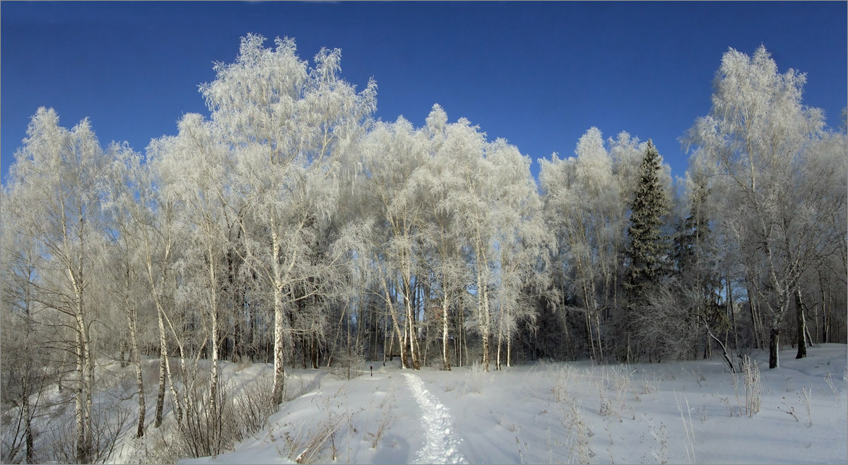 ����.. ����� dedo ������. �� PhotoGeek.ru #������ ��� ������� #���������