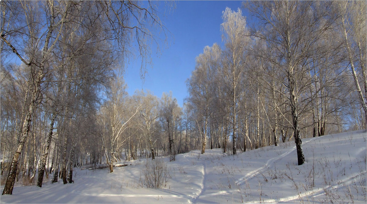 ... ����� dedo ������. �� PhotoGeek.ru #������ ��� ������� #���������