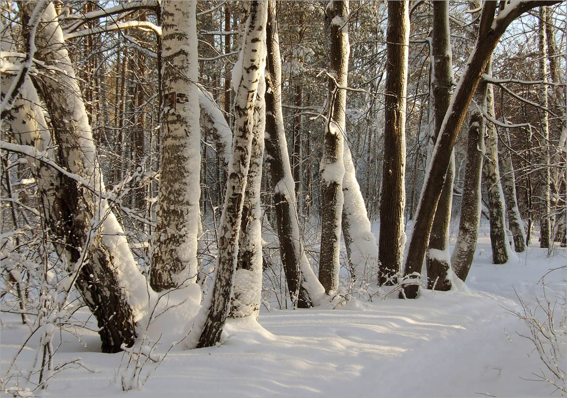 ... ����� dedo ������. �� PhotoGeek.ru #������ ��� ������� #���������