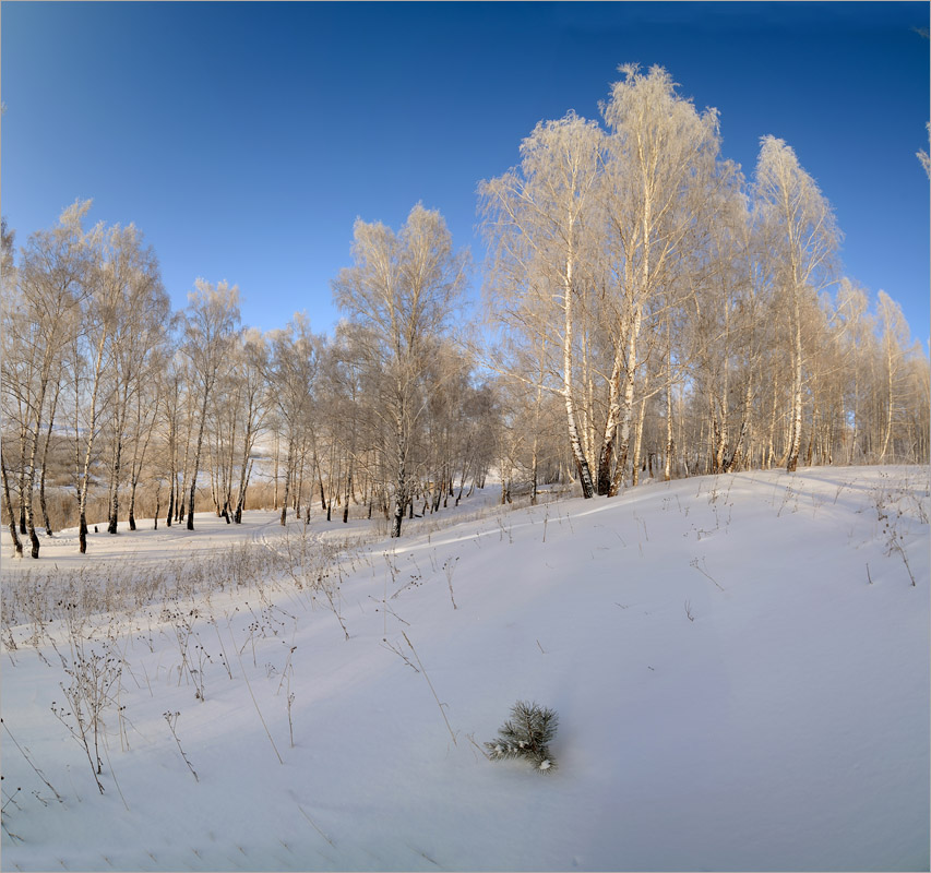 ... ����� dedo ������. �� PhotoGeek.ru #������ ��� ������� #���������
