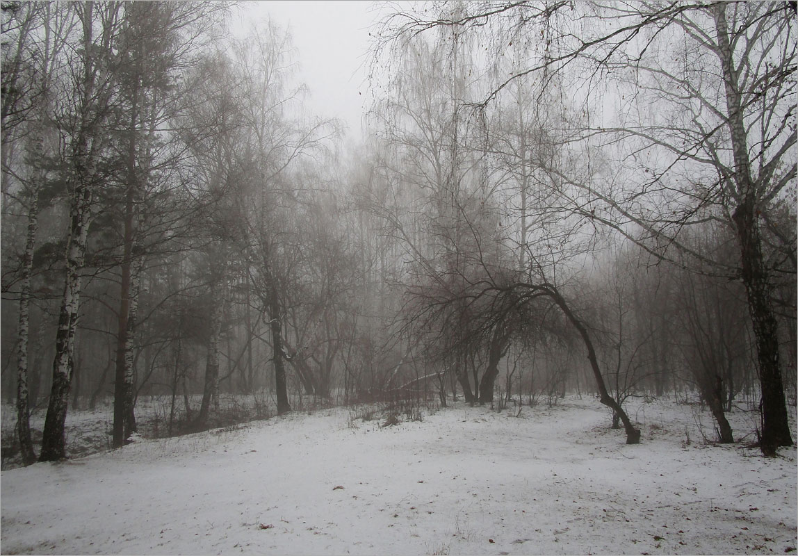 ����.. ����� dedo ������. �� PhotoGeek.ru #������ ��� ������� #���������