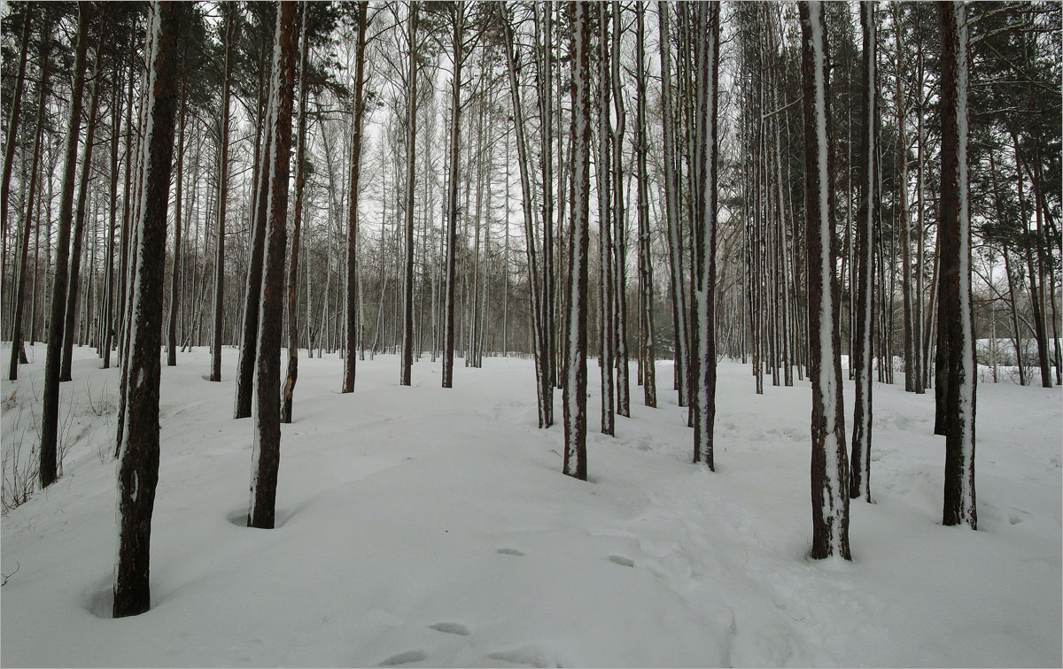 ����.. ����� dedo ������. �� PhotoGeek.ru #������ ��� ������� #���������