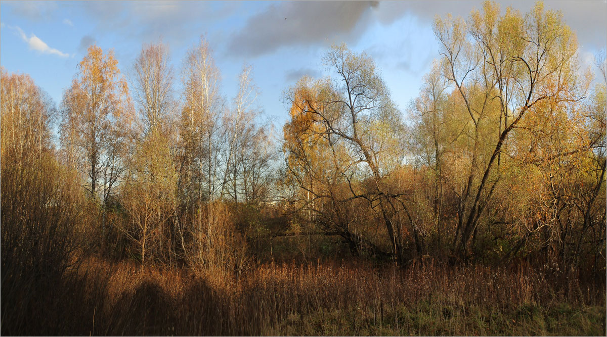 Осеннее настроение..2 автор dedo Виктор. на PhotoGeek.ru #Пейзаж или природа #Зарисовки