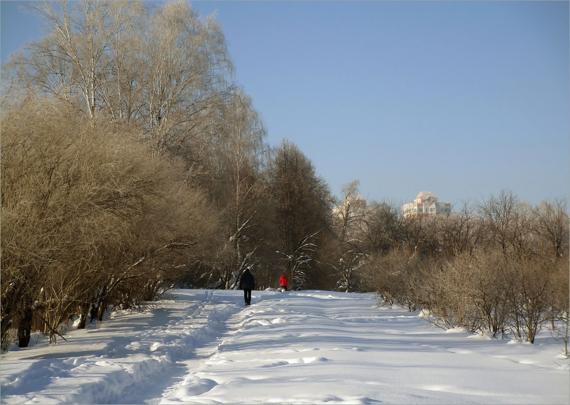 Зимние прогулки.. автор dedo Виктор. на PhotoGeek.ru #Пейзаж или природа #Зарисовки