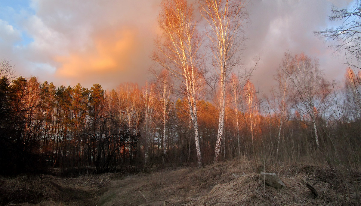 ��������... ����� dedo ������. �� PhotoGeek.ru #������ ��� ������� #���������