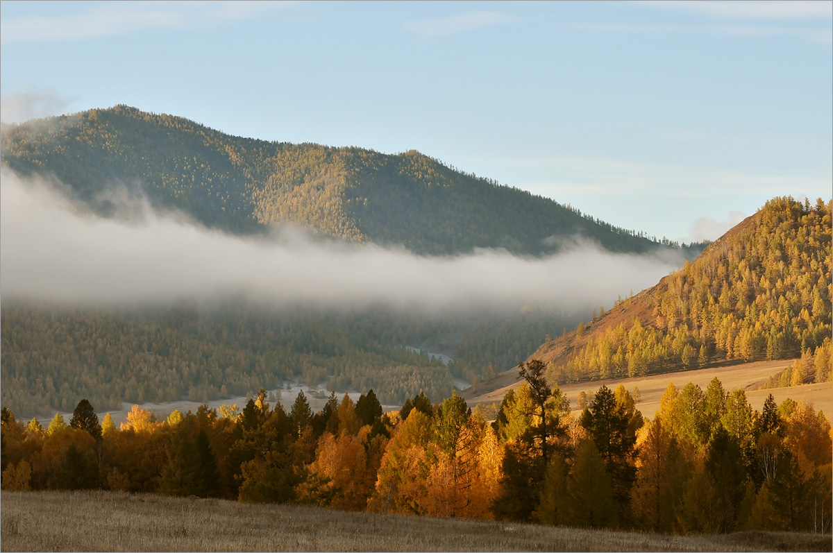 �����-20 ����� dedo ������. �� PhotoGeek.ru #������ ��� ������� #���������