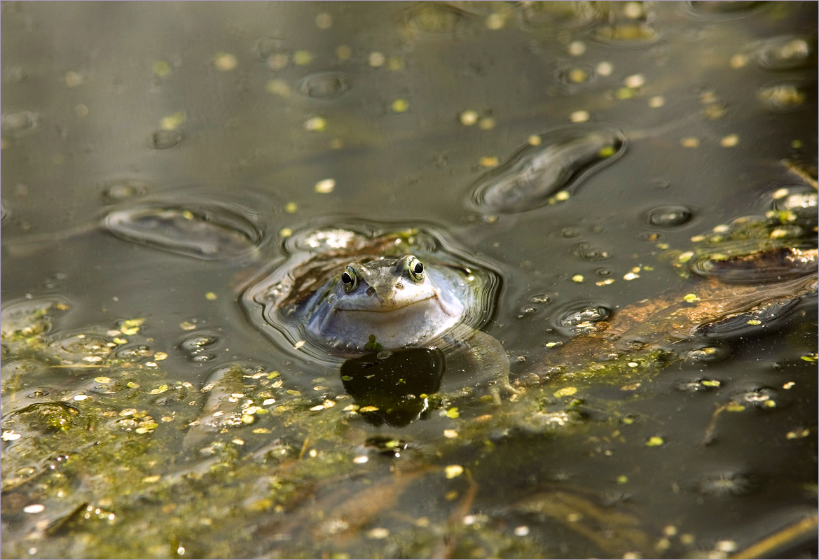 � �������� ������... ����� dedo ������. �� PhotoGeek.ru #�������� ��� #����� ��� ��� ���������