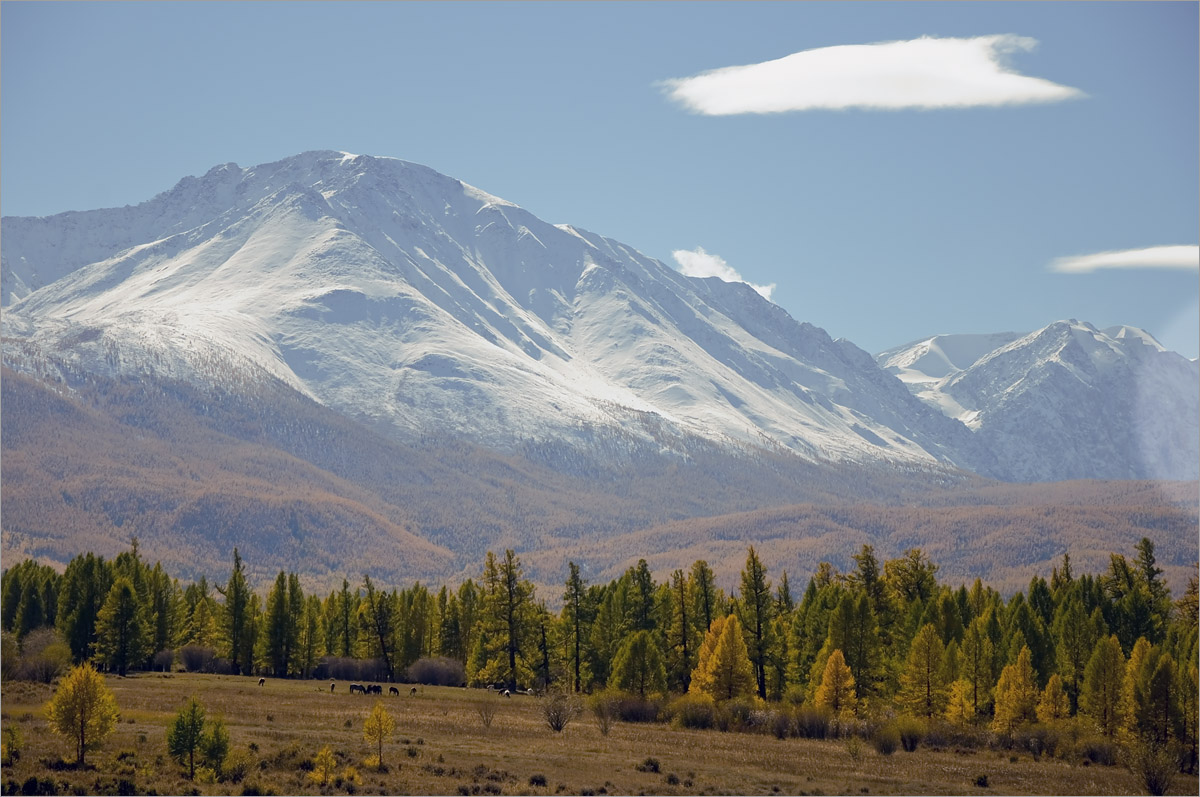 �����-18 ����� dedo ������. �� PhotoGeek.ru #������ ��� ������� #���������