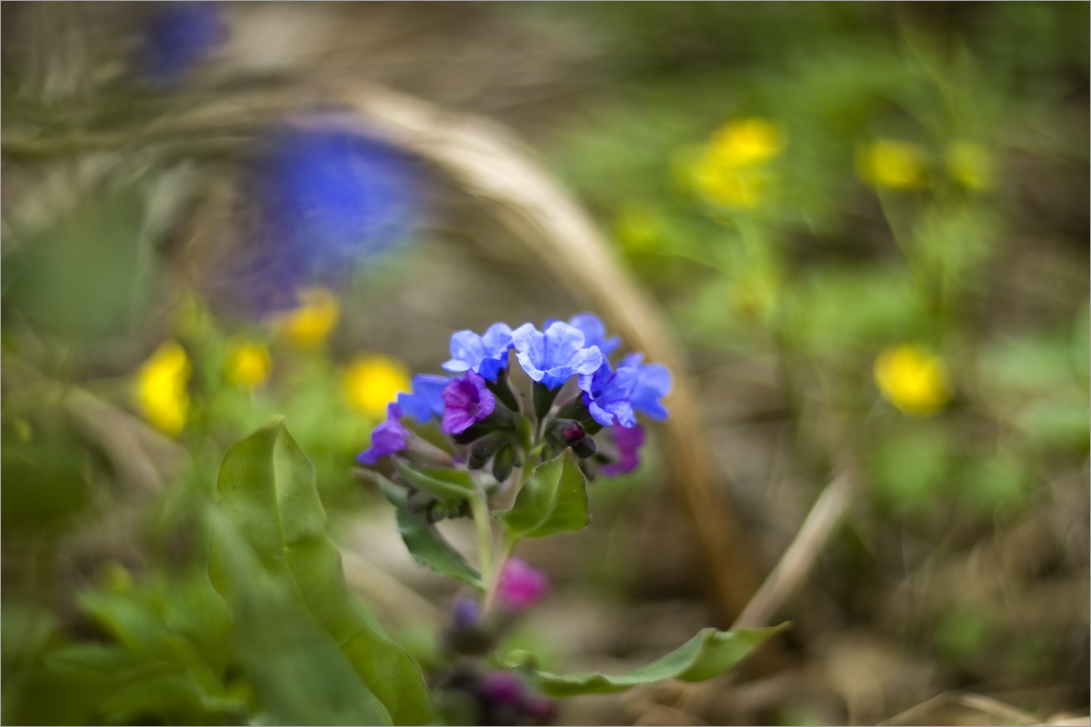 ��������... ����� dedo ������. �� PhotoGeek.ru #������ ��� ������� #���������