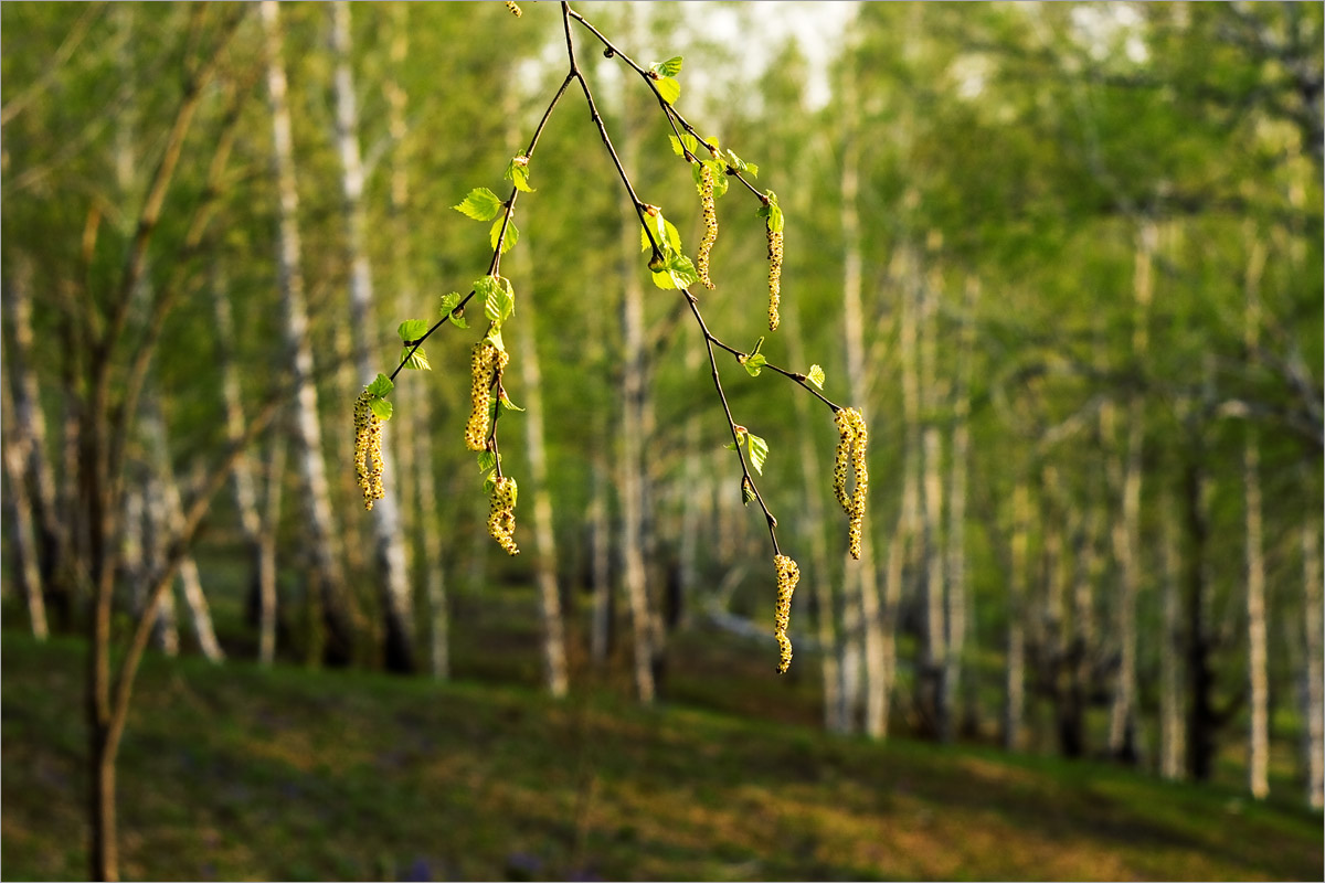 ������ ��� -2 ����� dedo ������. �� PhotoGeek.ru #������ ��� ������� #���������