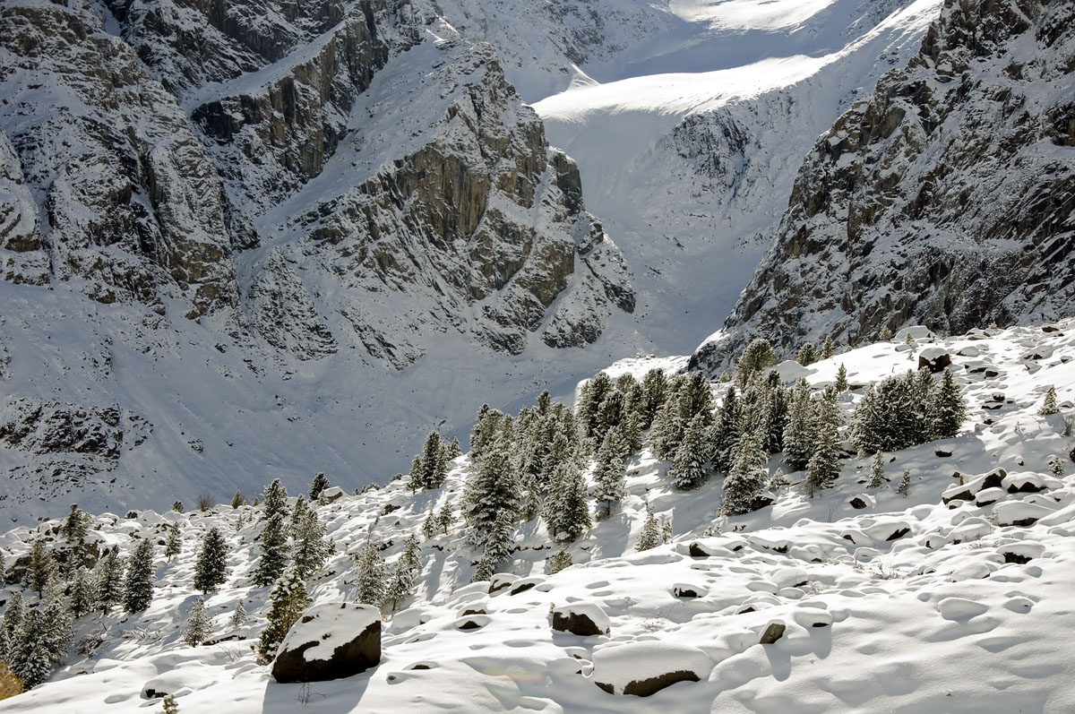 �����-24 ����� dedo ������. �� PhotoGeek.ru #������ ��� ������� #���������