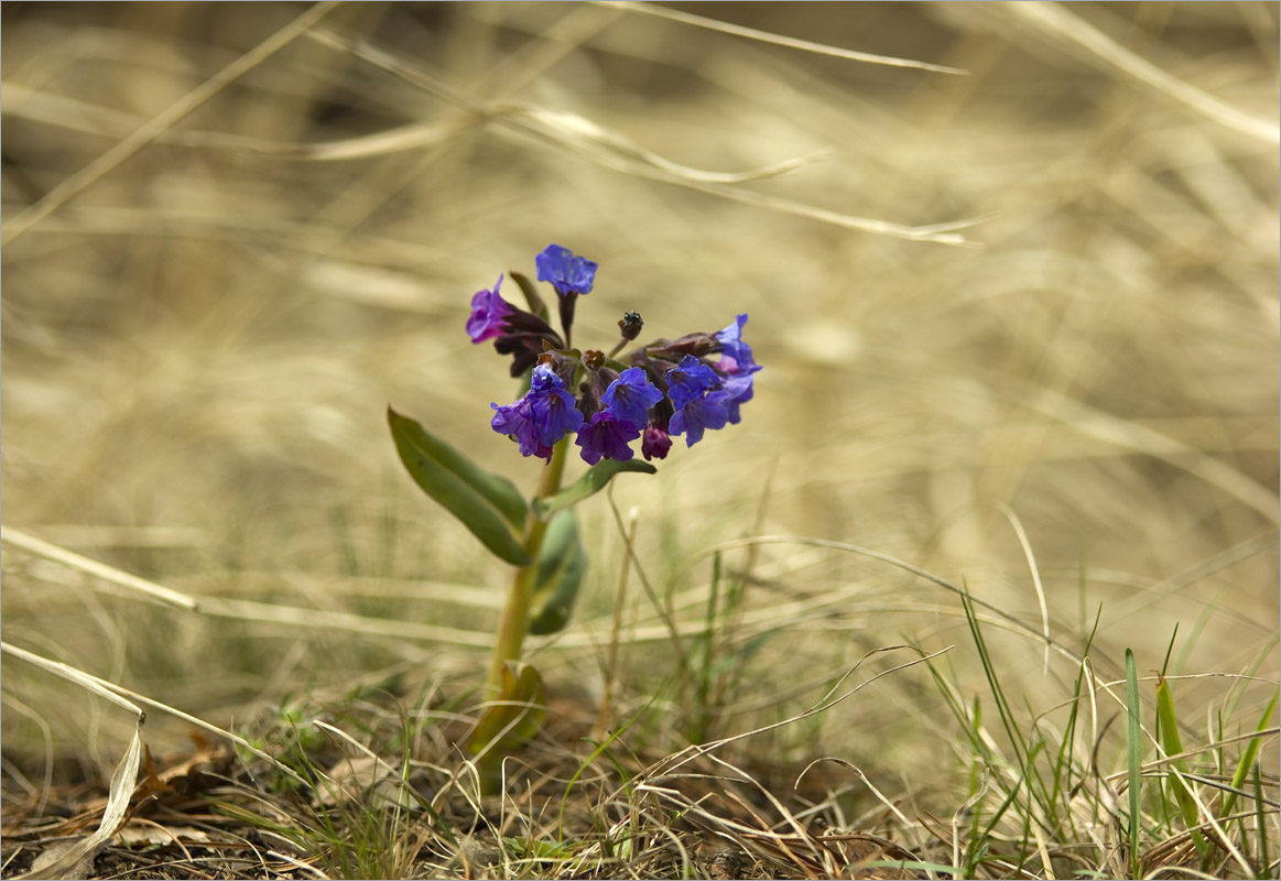 ...  dedo .  PhotoGeek.ru #   #