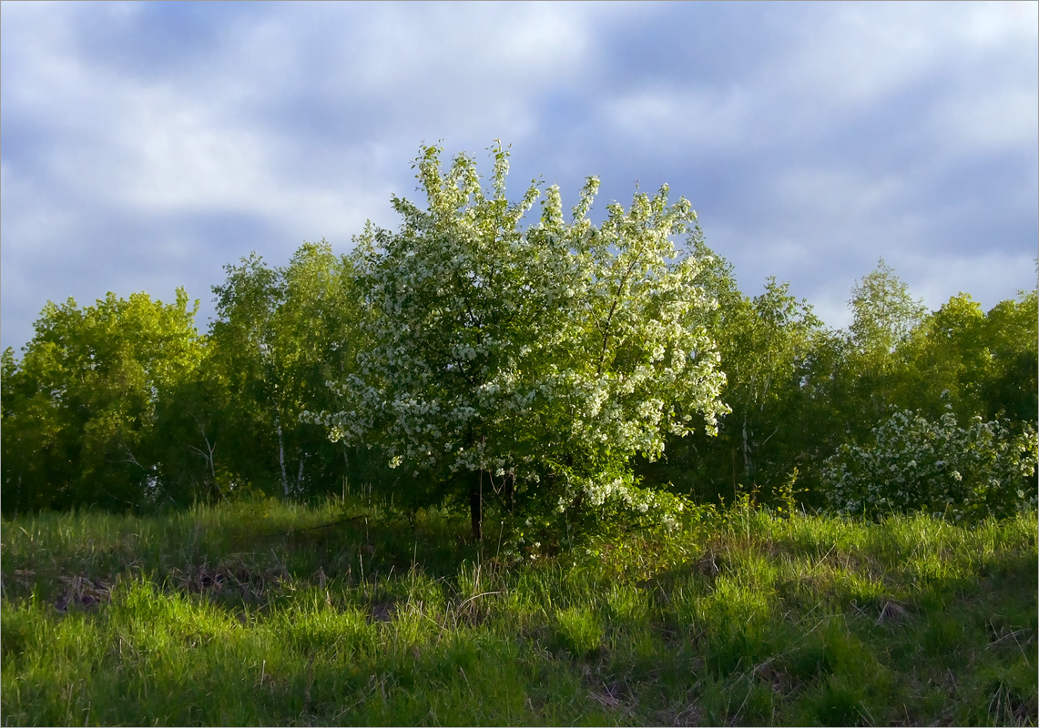 ��������... ����� dedo ������. �� PhotoGeek.ru #������ ��� ������� #���������