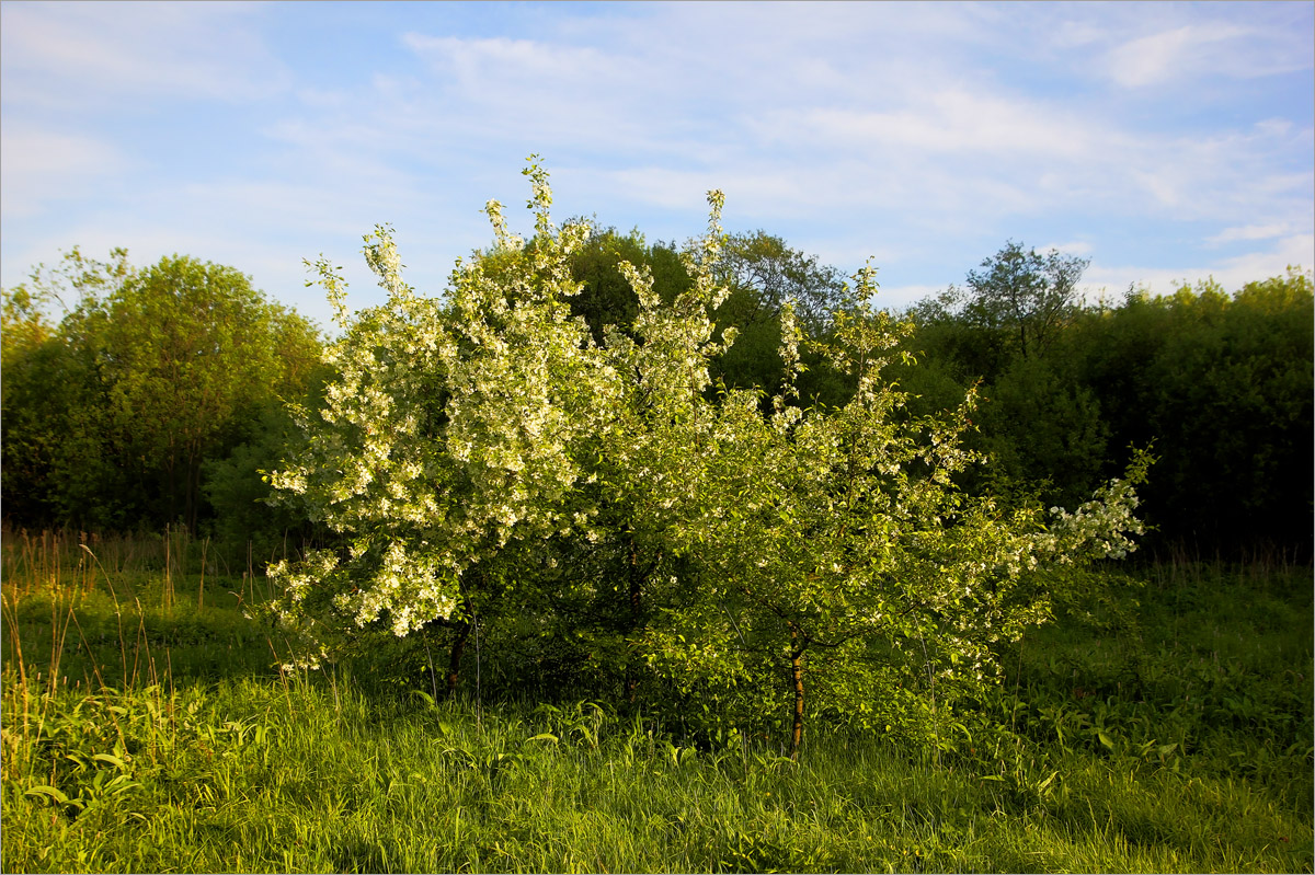 ��������... ����� dedo ������. �� PhotoGeek.ru #������ ��� �������