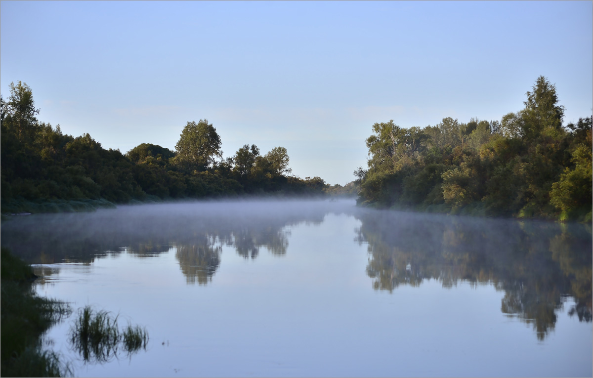 ���� ��������...3 ����� dedo ������. �� PhotoGeek.ru #������ ��� ������� #���������