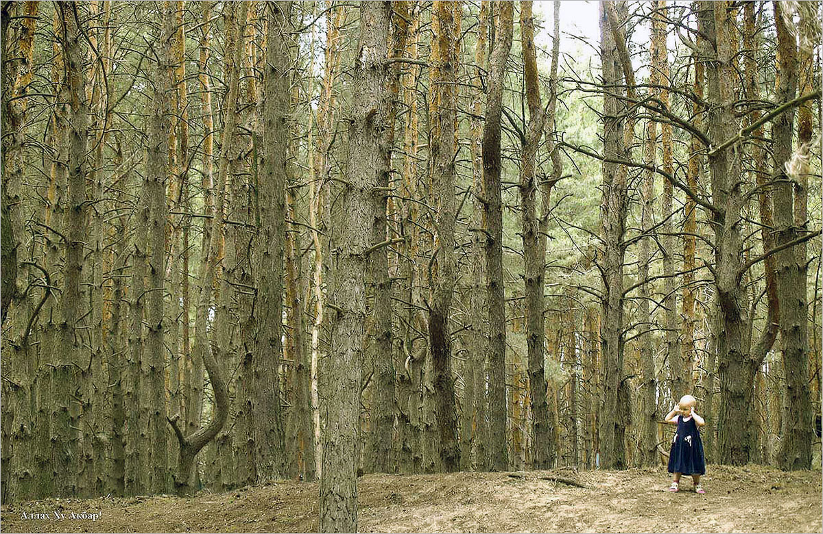 ... ����� dedo ������. �� PhotoGeek.ru #������ ��� ������� #���������