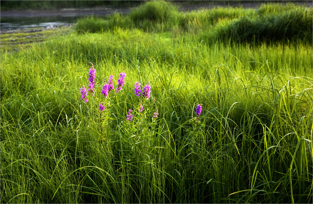 �������� ����.. ����� dedo ������. �� PhotoGeek.ru #������ ��� ������� #���������