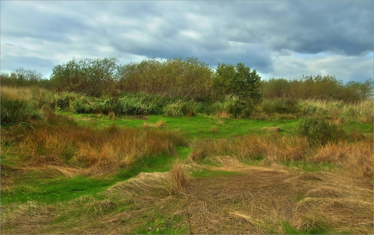 ������� ����������..3 ����� dedo ������. �� PhotoGeek.ru #������ ��� ������� #���������