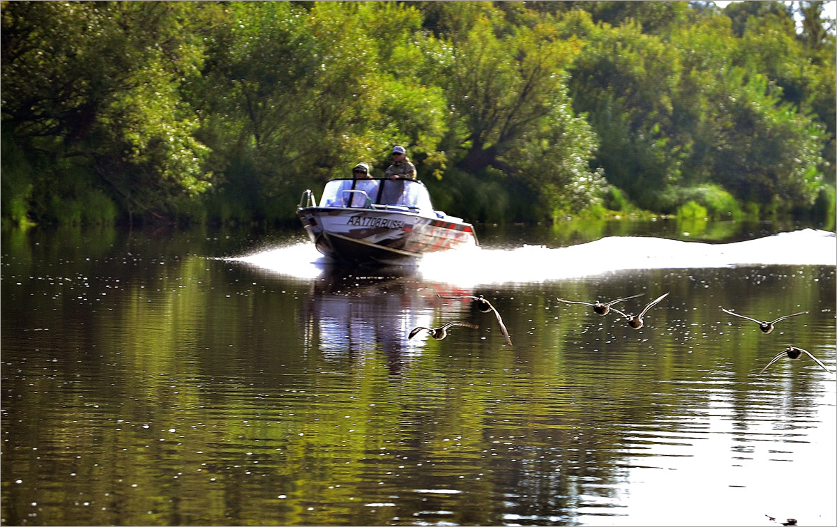 �����������... ����� dedo ������. �� PhotoGeek.ru #������ ��� ������� #���������