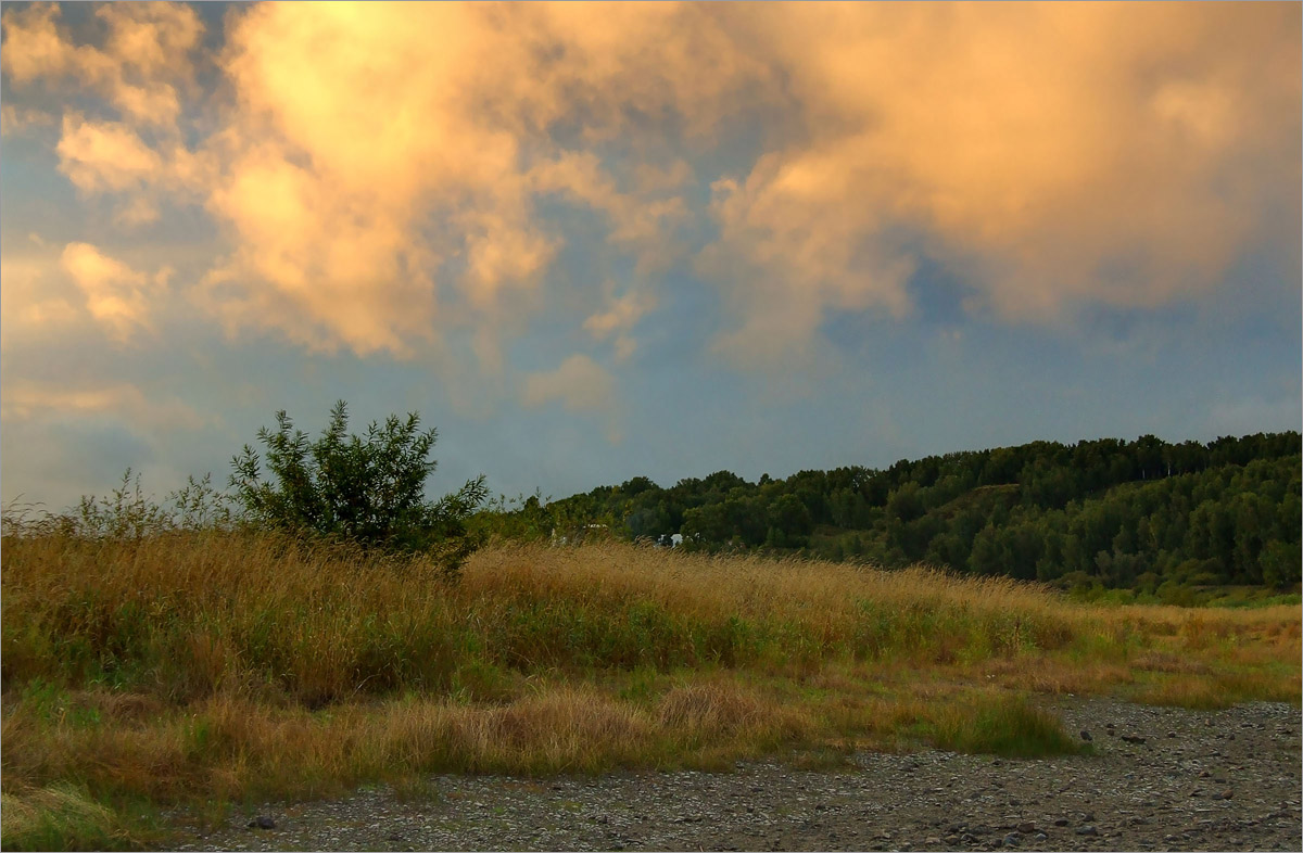 ������� ����������..4 ����� dedo ������. �� PhotoGeek.ru #������ ��� ������� #���������