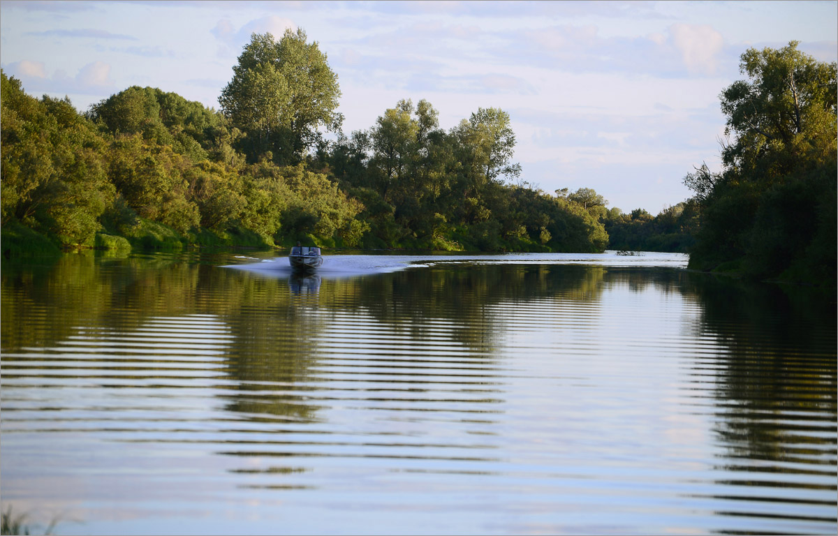 ������ ����. ����� dedo ������. �� PhotoGeek.ru #������ ��� ������� #���������