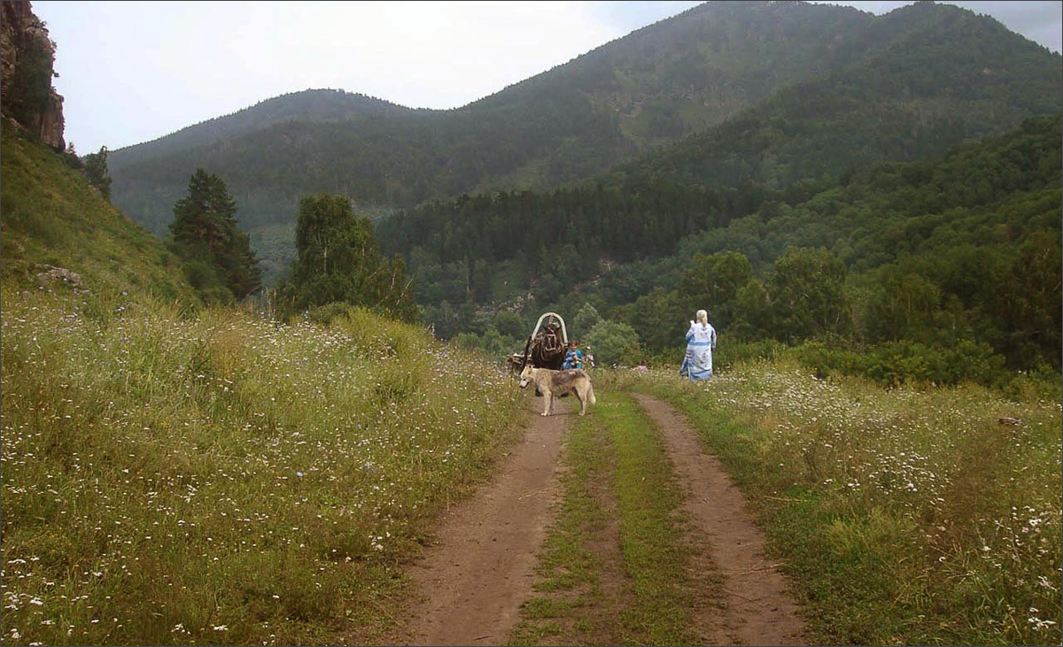 �����-41 ����� dedo ������. �� PhotoGeek.ru #������ ��� ������� #���������