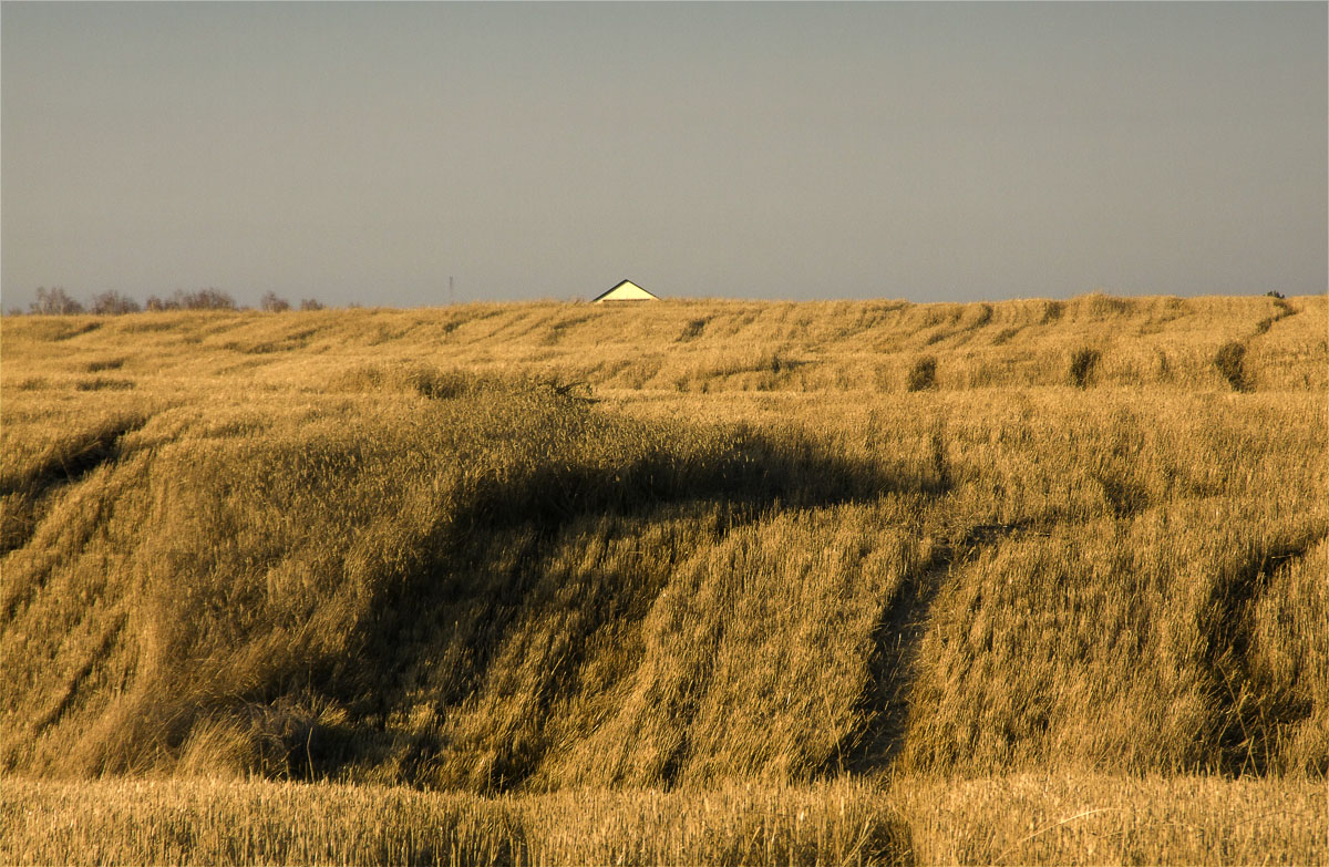 ������� ��������..9 ����� dedo ������. �� PhotoGeek.ru #������ ��� ������� #���������