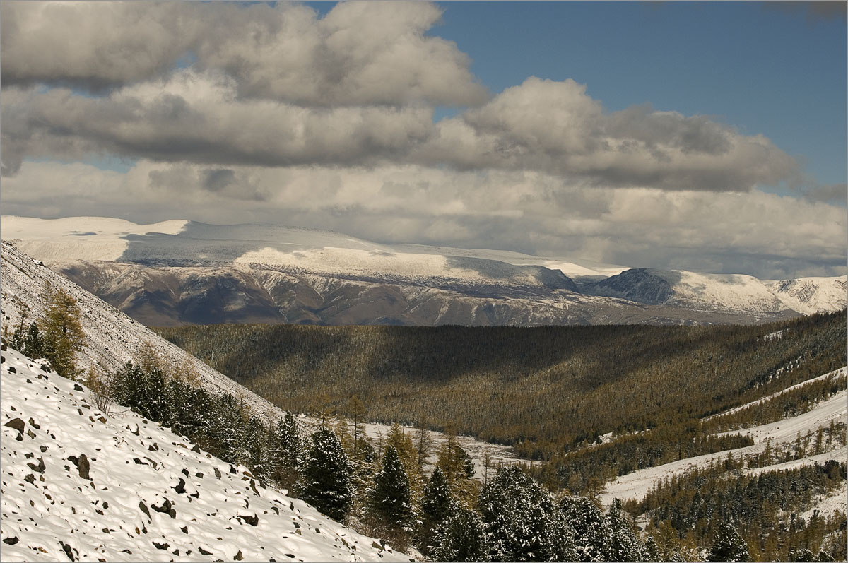 �����-45 ����� dedo ������. �� PhotoGeek.ru #������ ��� ������� #���������