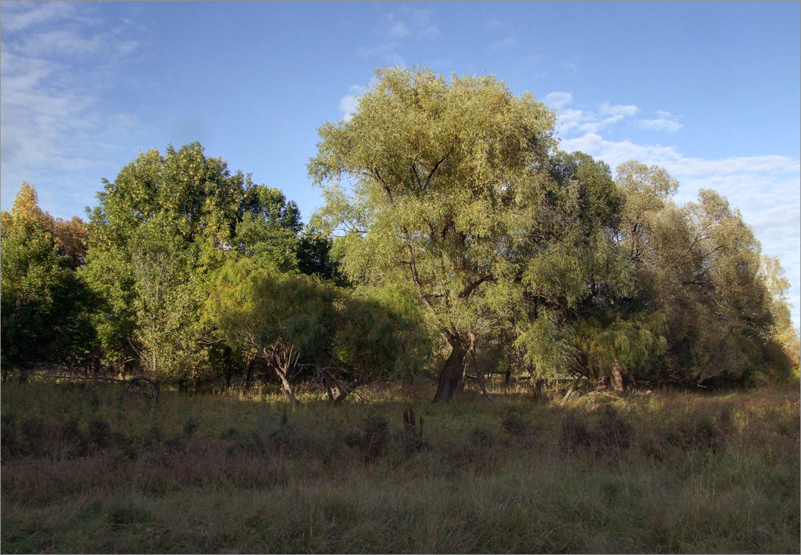 ��������� �����... ����� dedo ������. �� PhotoGeek.ru #������ ��� ������� #���������