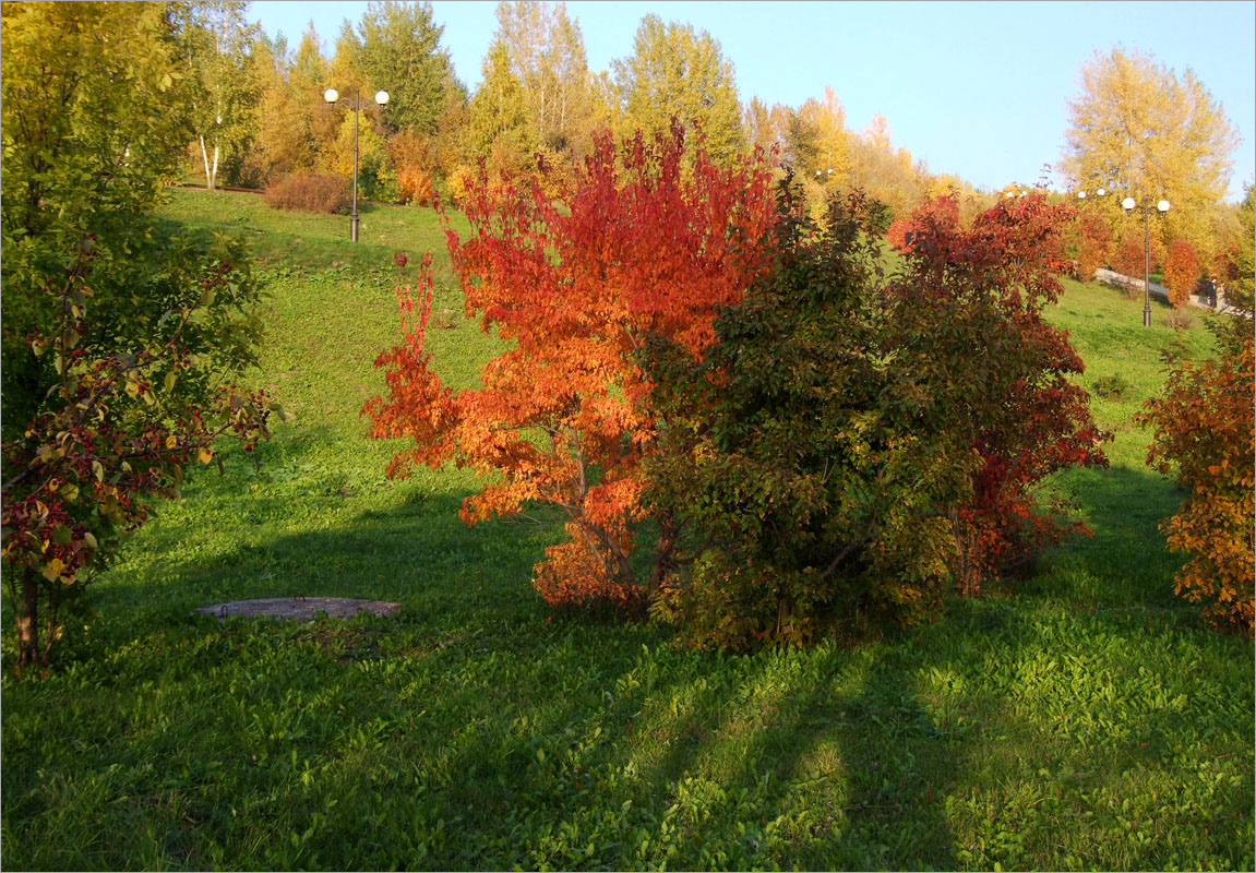 ������� ����������.. ����� dedo ������. �� PhotoGeek.ru #������ ��� ������� #���������