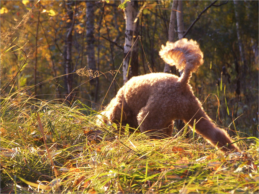 ...�� ������� �������� ����� dedo ������. �� PhotoGeek.ru #�������� ���������� #�������������