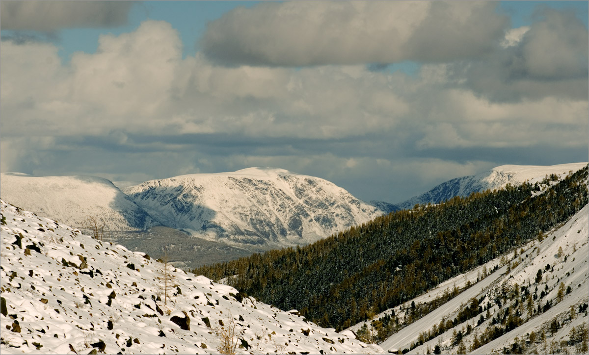 �����-38 ����� dedo ������. �� PhotoGeek.ru #������ ��� ������� #���������