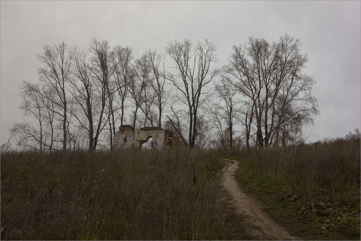 ������� ��������... ����� dedo ������. �� PhotoGeek.ru #����� #�������� ����������