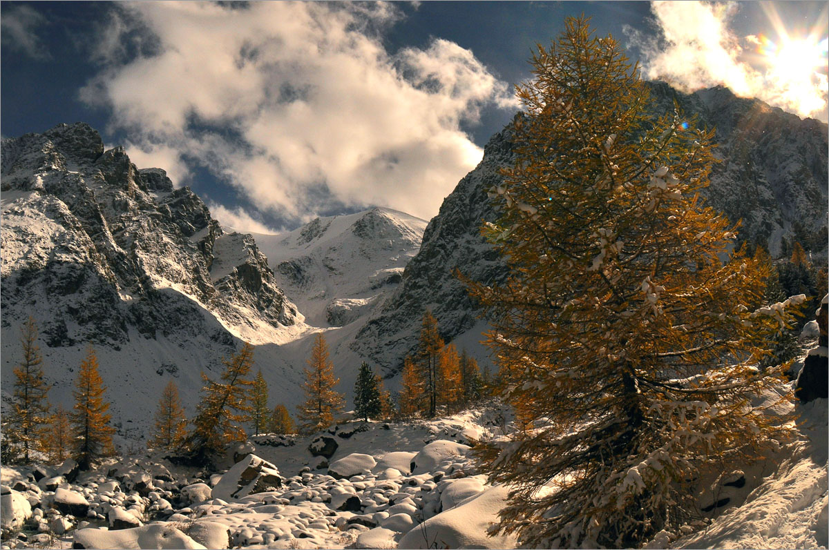 -45  dedo .  PhotoGeek.ru #   #
