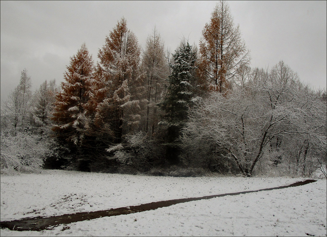 ������ ����..7 ����� dedo ������. �� PhotoGeek.ru #������ ��� ������� #����� �������������� #���������