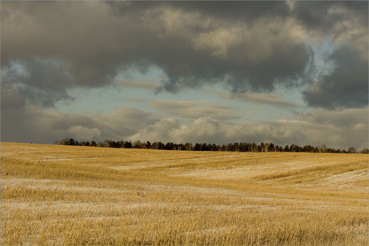 �������..3 ����� dedo ������. �� PhotoGeek.ru #������ ��� ������� #���������