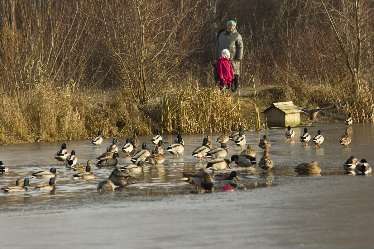 ������� ��������..10 ����� dedo ������. �� PhotoGeek.ru #������ ��� ������� #���������