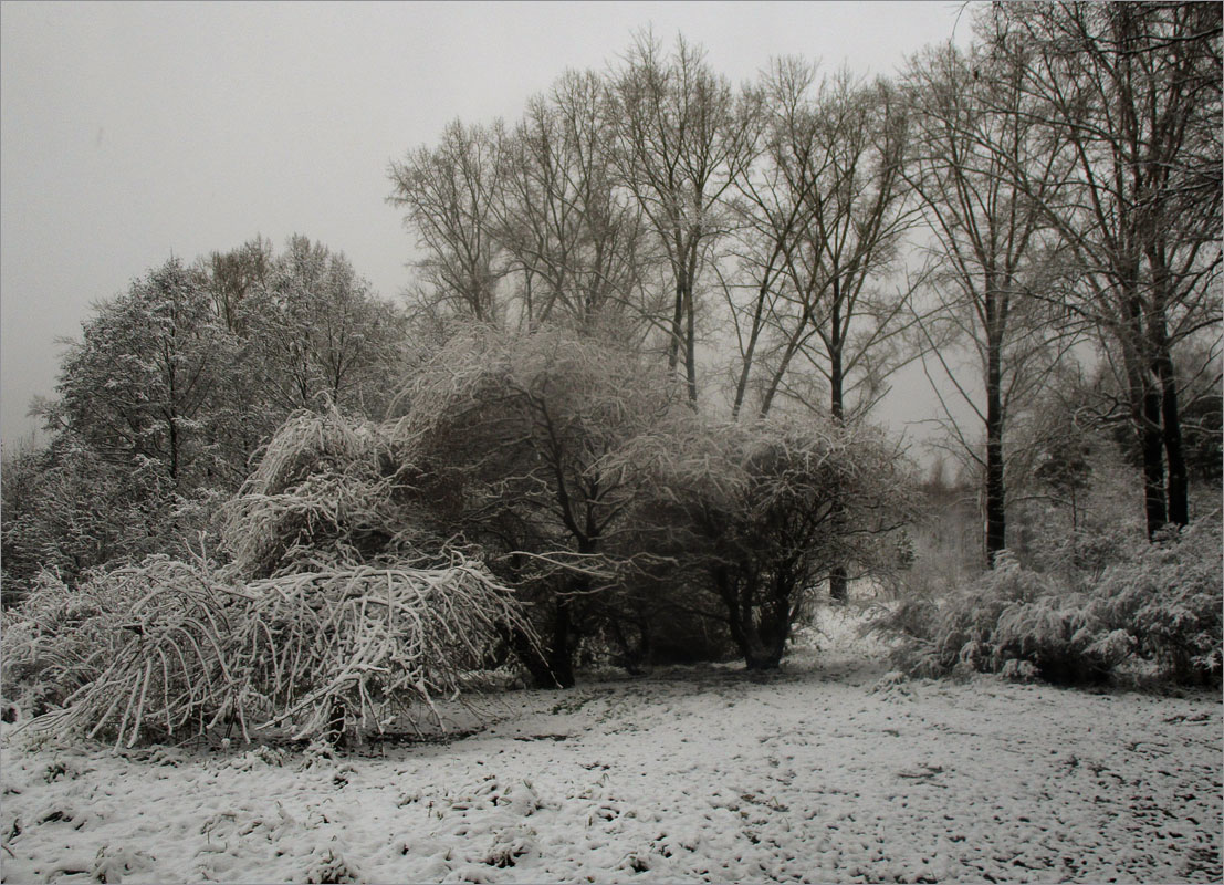 ������ ����..8 ����� dedo ������. �� PhotoGeek.ru #������ ��� ������� #����� ��������������