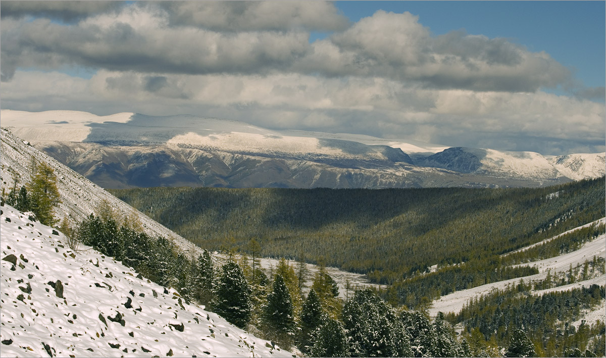 �����-47 ����� dedo ������. �� PhotoGeek.ru #������ ��� ������� #���������