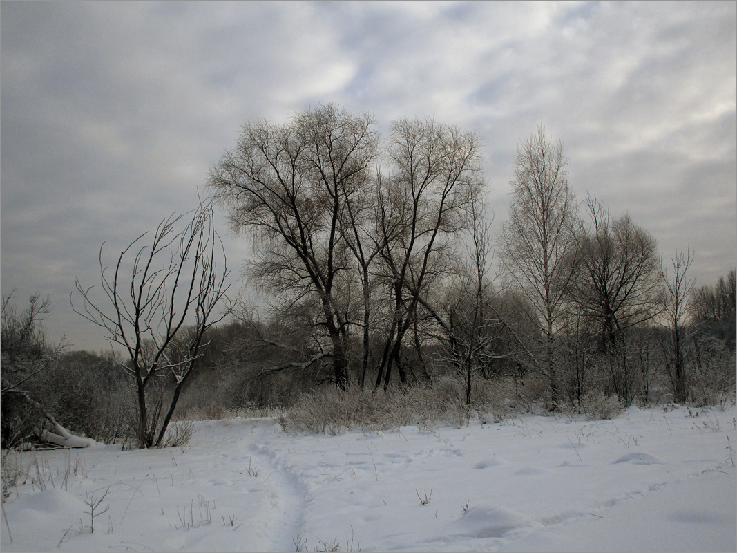 ������ ����..9 ����� dedo ������. �� PhotoGeek.ru #������ ��� ������� #���������