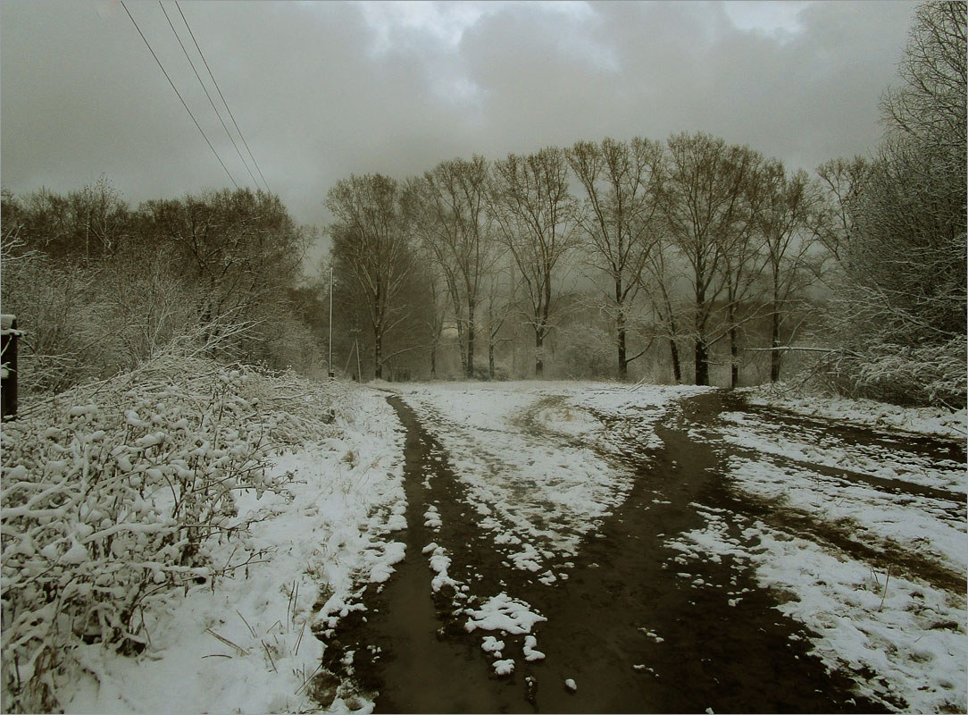 ������ ����..10 ����� dedo ������. �� PhotoGeek.ru #������ ��� ������� #���������