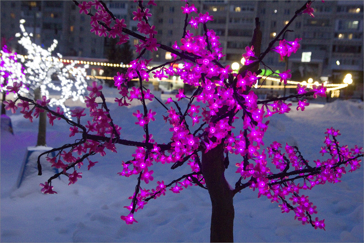 ����������- 4 ����� dedo ������. �� PhotoGeek.ru #����� #��������� ������