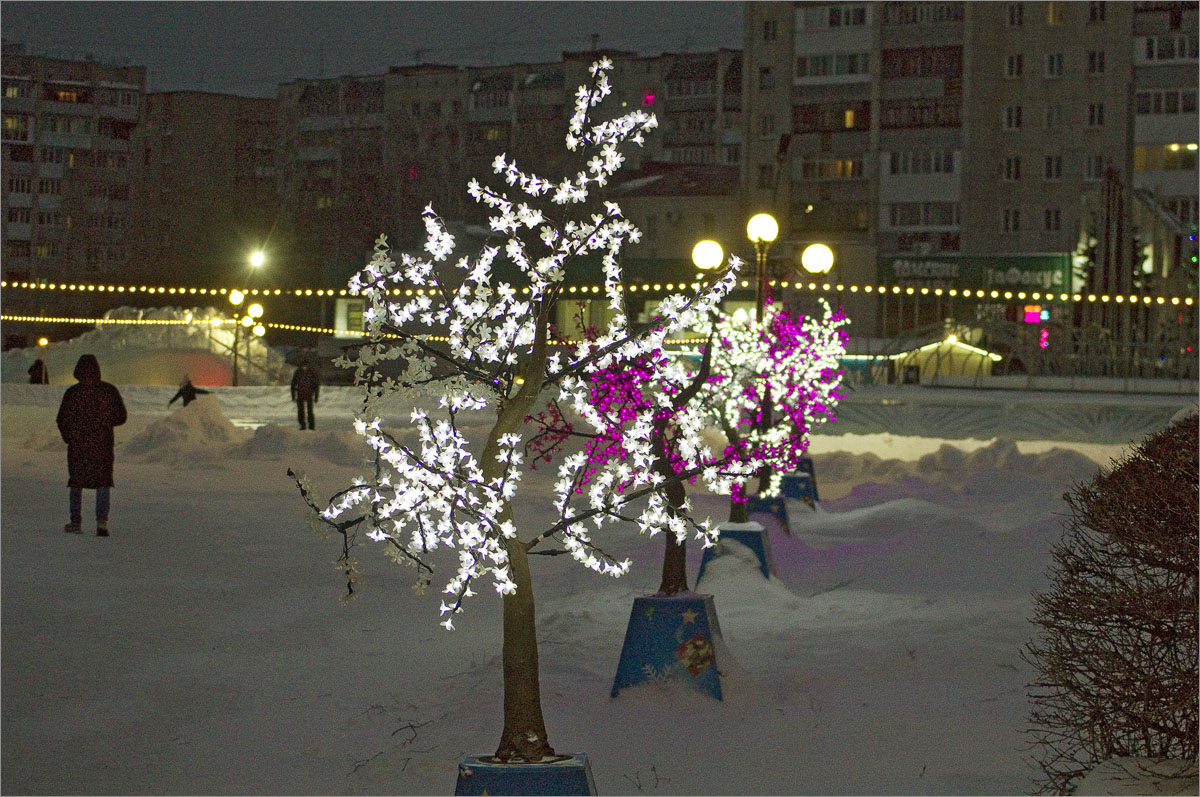 -13  dedo .  PhotoGeek.ru # # 