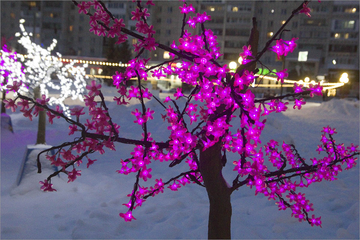 ����������-20 ����� dedo ������. �� PhotoGeek.ru #����� #��������� ������