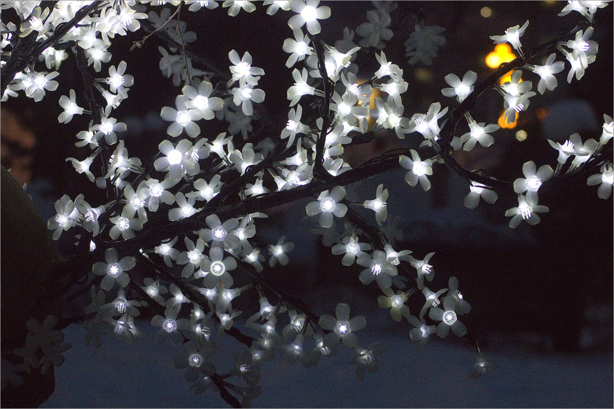 ����������-21 ����� dedo ������. �� PhotoGeek.ru #����� #��������� ������