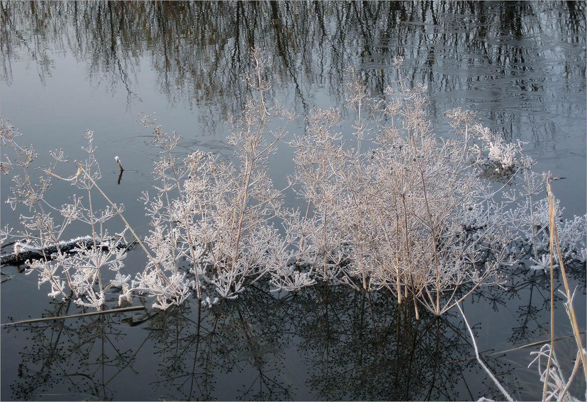 ������  ���������..3 ����� dedo ������. �� PhotoGeek.ru #������ ��� ������� #���������